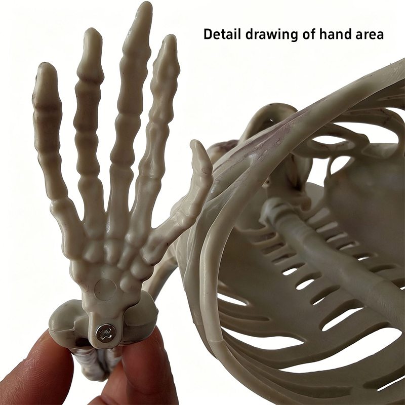 Ozdoba w kształcie czaszki z p – Halloween Skeleton Decoration recenzja i cena